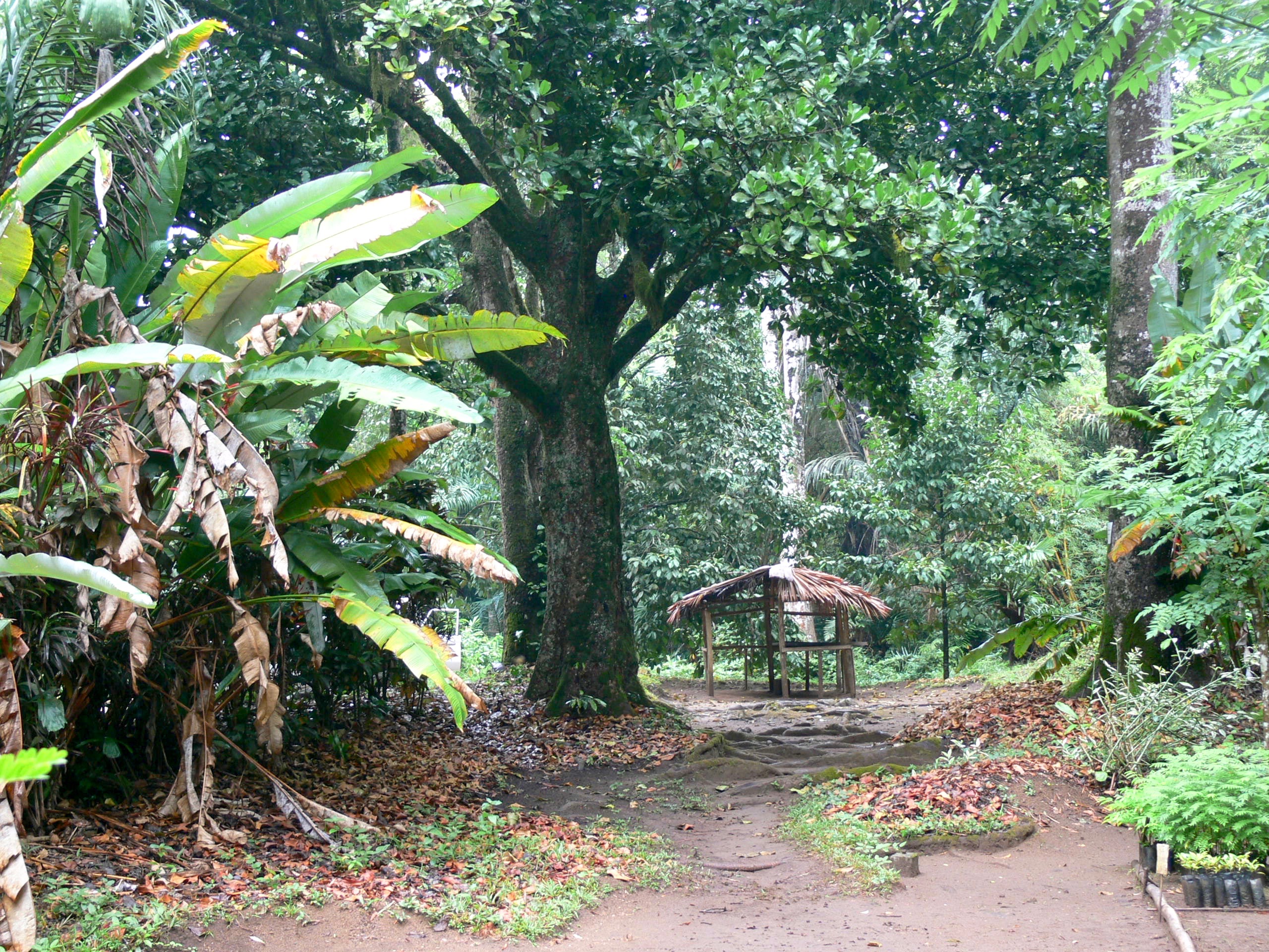 Amani Nature Reserve